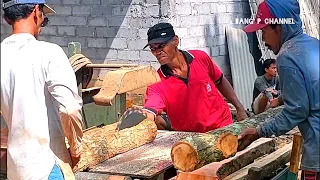 Ngeri ngeri Takut..!! Tajamnya gergaji mesin kayu mahoni pendek