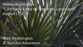 "Cold-hardy Palms for Temperate Landscapes"