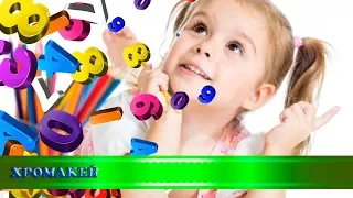 Школьные переходы "Цифры 3D", хромакей/School transitions "Numbers 3D", chromakey