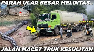 Astaghfirullah Penemuan Ular Besar Mematikan, Jalan Macet Truk Kewalahan Melintas di Sitinjau Lauik