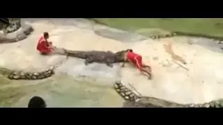 Crocodile Bites Man's Head Off!!