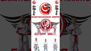 #shinkyokushinkai #groza #dojo #karate #состязание