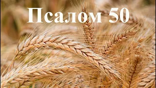 Псалом 50 Помилуй меня Боже. Покаянный. Молитва на ночь. Psalm 50