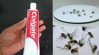 JUST ONE MINUTE || HOW TO KILL MOSQUITOS AT HOME || MAGIC INCGRDENT || JUST ONE MINUTE || MR MAKER