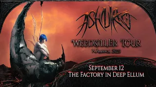 Ashnikko - Working Bitch / Don't look at It at The Factory in Deep Ellum - WEEDKILLER Tour