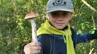 Собрали грибов в чеховском районе МО | прогулка по лесу | электричка