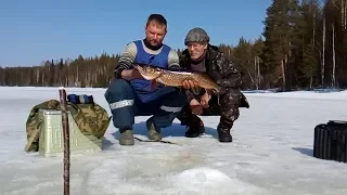 ТАЙГА/РЫБАЛКА/КОРДОН/СЕМЬ ДНЕЙ В ЛЕСУ/ЧАСТЬ ВТОРАЯ.