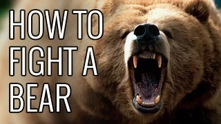 How To Fight A Bear - EPIC HOW TO