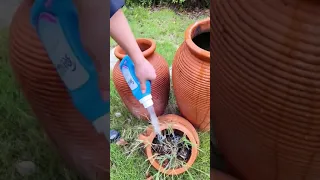 DIY Plastic Watering Can Water Sprayer Sprinkler for Plants
