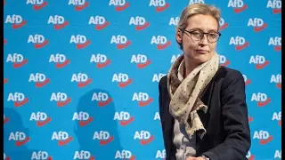 AFD-CHEFIN ALICE WEIDEL: "Der Dexit wäre eine Option“
