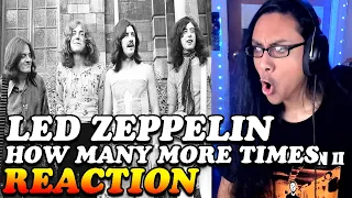Led Zeppelin How Many More Times Reaction