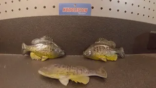 Huddleston Deluxe Bluegill Swimbait Review