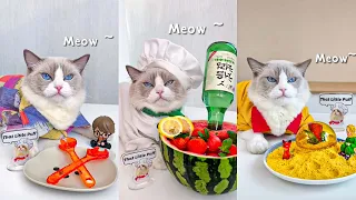 Cats Make Food 😻🍳 | That Little Puff Tiktok Compilation 2022 | Chef Cat Cooking 🔪#14