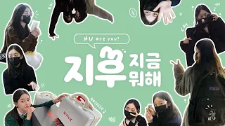 (SUB)[지후로그]HU are you? 박지후를 소개합니다. (feat. 첫 브이로그, 03년생, 박애기, 지우학, 남온조, K고딩)