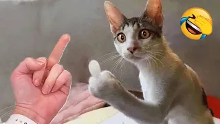 Funniest Animals 2023 😍 New Funny Cats and Dogs 😺🐶 Part 5