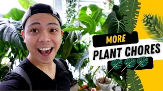 PLANT CHORES 💚 | Watering My Plants (PON & SOIL), Air Layering, Fertilizing & MORE | Chatty Vlog 😃