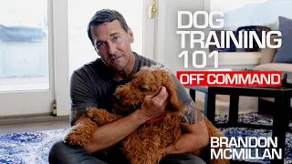 Dog Training 101: Off Command | Brandon McMillan