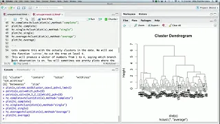 Statistical Learning: 12.R.3 Hierarchical Clustering