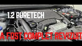 Motorul 1.2 PureTech EB2 2024 a fost revizuit! Care sunt schimbarile la nivelul distributiei?