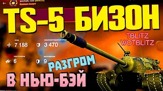 TS-5 БИЗОН В НЬЮ-БЭЙ ПРОЩАЕТСЯ С "ВОЗРОЖДЕНИЕМ" #TBLITZ #WOTBLITZ