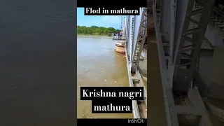 mathura flood 2023 || subscribe || #mathura #yamunariver #vrindavan #gokul #flood #krishnanagri.