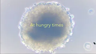 AT HUNGRY TIMES- BARBARA PADRÒN HERNÀNDEZ