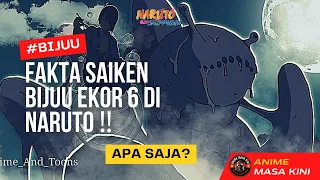 Fakta Saiken Bijuu Ekor 6‼️Bijuu Paling Kalem & Santuy