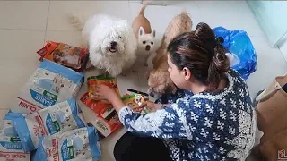 DOGS go CRAZY to see so many treats | GROCERY SETTING | Ss Vlogs :-)