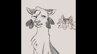 Ivypool and Hawkfrost animation