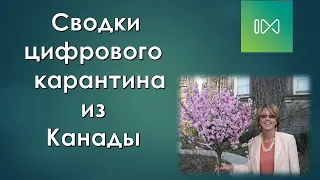 Бигдата глобального коронобесия/хроники безумного мира/страх народа -угроза государственности