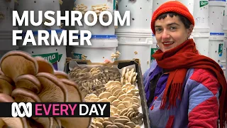 This farm grows 80kg of mushrooms a week! 🍄 | Everyday | ABC Australia