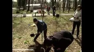 Днепропетровцы сажают деревья за свой счёт