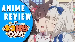 ANIME REVIEW: NEKOPARA OVA [German/Deutsch]