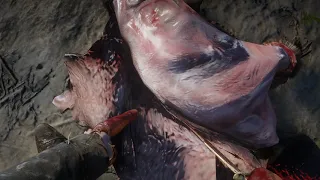 Red Dead Redemption 2 Small-Medium Animals Skinning Animation (First person)