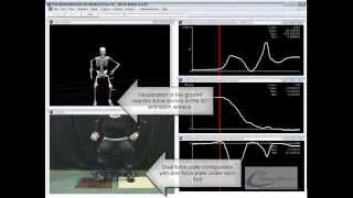 Sit To Stand Analysis