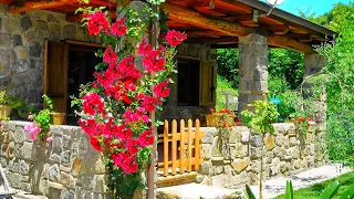 60 STONE HOUSES with PORCHES