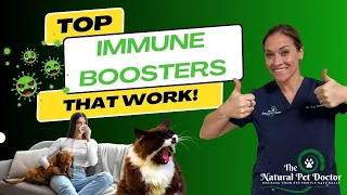 Part 1: Boosting Pet & Human Immune Health: Gut Health Secrets Revealed with Dr. Katie Woodley