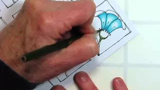 Color Pencil Technique