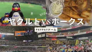 2024.3.5ヤクルトVSホークスPayPayドームオープン戦