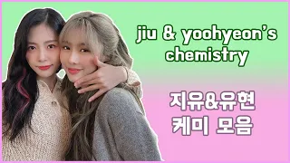 jiu and yoohyeon's chemistry 드림캐쳐 지유&유현 케미 모음 🐰🐶