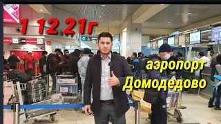 Абдуллох тв01 АЭРОПОРТ Домодедово 1 12 21г