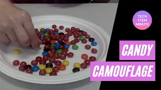TECH STEM Minute - Candy Camouflage
