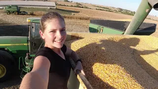 Corn Harvest on a Family Farm! | Fall Farmathon episode 4 #farmathon