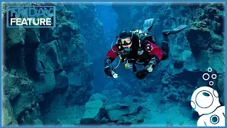 Why You Should Dive In A Drysuit