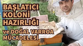 Arıcılık Başlatıcı Koloni ve Doğal Varroa Mücadelesi