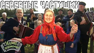 Играй, гармонь! | Екатерина Куваева (г. Вологда) | Северные частушки