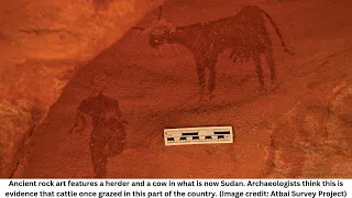 4,000-year-old rock art of boats and cattle unearthed in Sudan paint a picture of a green Sahara