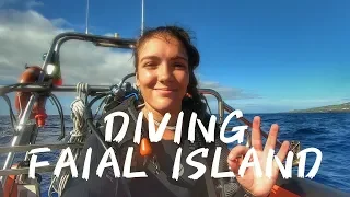 AZORES #10 - DIVING FAIAL HALIOTIS DIVE CENTER