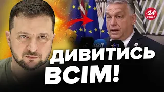 ⚡Щойно з Брюсселя! Зеленський ВИСТУПИВ на САМІТІ: що сказав? / Орбан ЗБІСИВСЯ через Україну