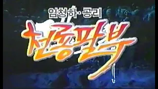 천룡팔부 - 1994년작 번음 MP4